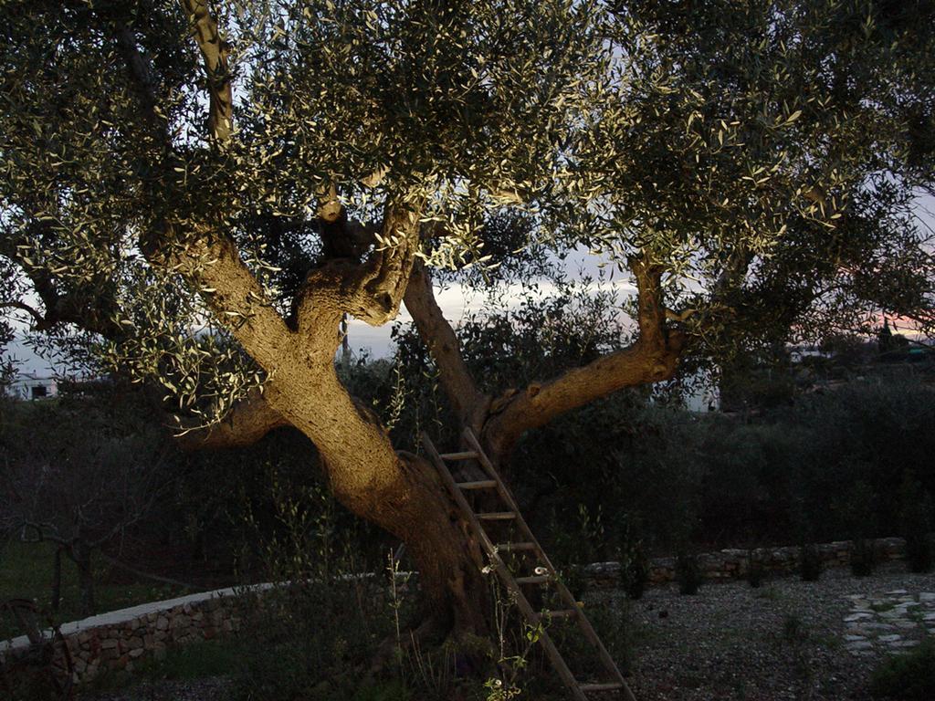 Trullo Sereno Angelo Locorotondo Exteriér fotografie